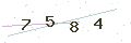 验证码